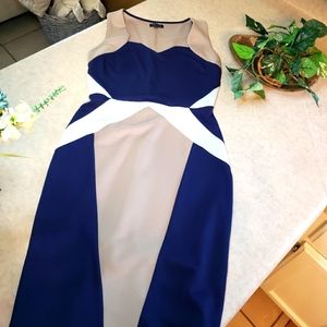 Venus Color Block Dress